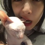 娱乐吃瓜酱虐猫,真相与反思