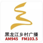 龙广在线收听,创新传播，引领广播新时代