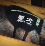 台湾娱乐妹中文网手机,轻松掌握最新娱乐资讯，畅享便捷阅读体验