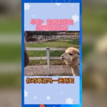娱乐吃瓜群众歌曲,揭秘“吃瓜群众”背后的音乐故事