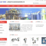 上海网站制作公司,专业定制，助力企业网络品牌形象升级