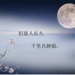 描写中秋节的诗句,诗意中秋夜