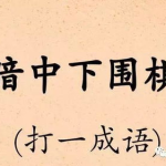 暗中下围棋打一成语是什么,成语显智慧——揭秘‘暗中下围棋之谜底”
