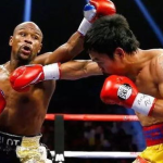 吃瓜娱乐拳击比赛直播视频,直播盛宴，精彩瞬间回顾