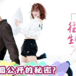 娱乐圈吃瓜爆料肖战杨紫,娱乐圈的甜蜜瓜田，揭秘他们的幕后故事
