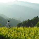 娱乐吃瓜酱拐进山里