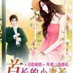 首长的小夫人三胞胎,小夫人携三胞胎闯天下