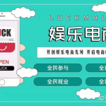 娱乐电商是什么,跨界融合下的新型消费体验解析