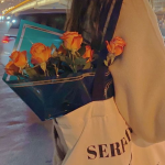 祝福女神的经典语句,愿美好如阳光洒满人生旅程