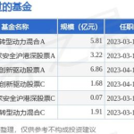 宝盈策略增长基金,多元化投资策略下的稳健增长之路